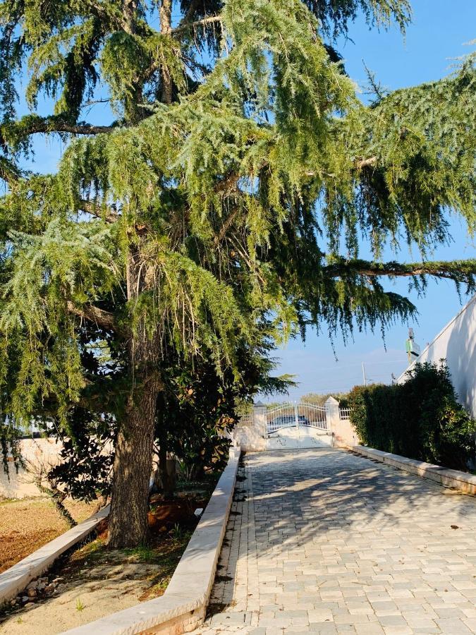 Trullo Labellavita Putignano Ngoại thất bức ảnh